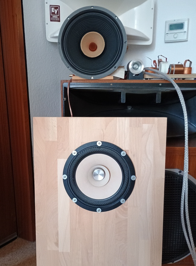 Tang Band W8-2145 vs. Lii Audio F-12